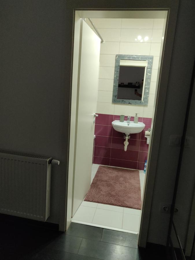 Avangarden Apartment Брашов Экстерьер фото
