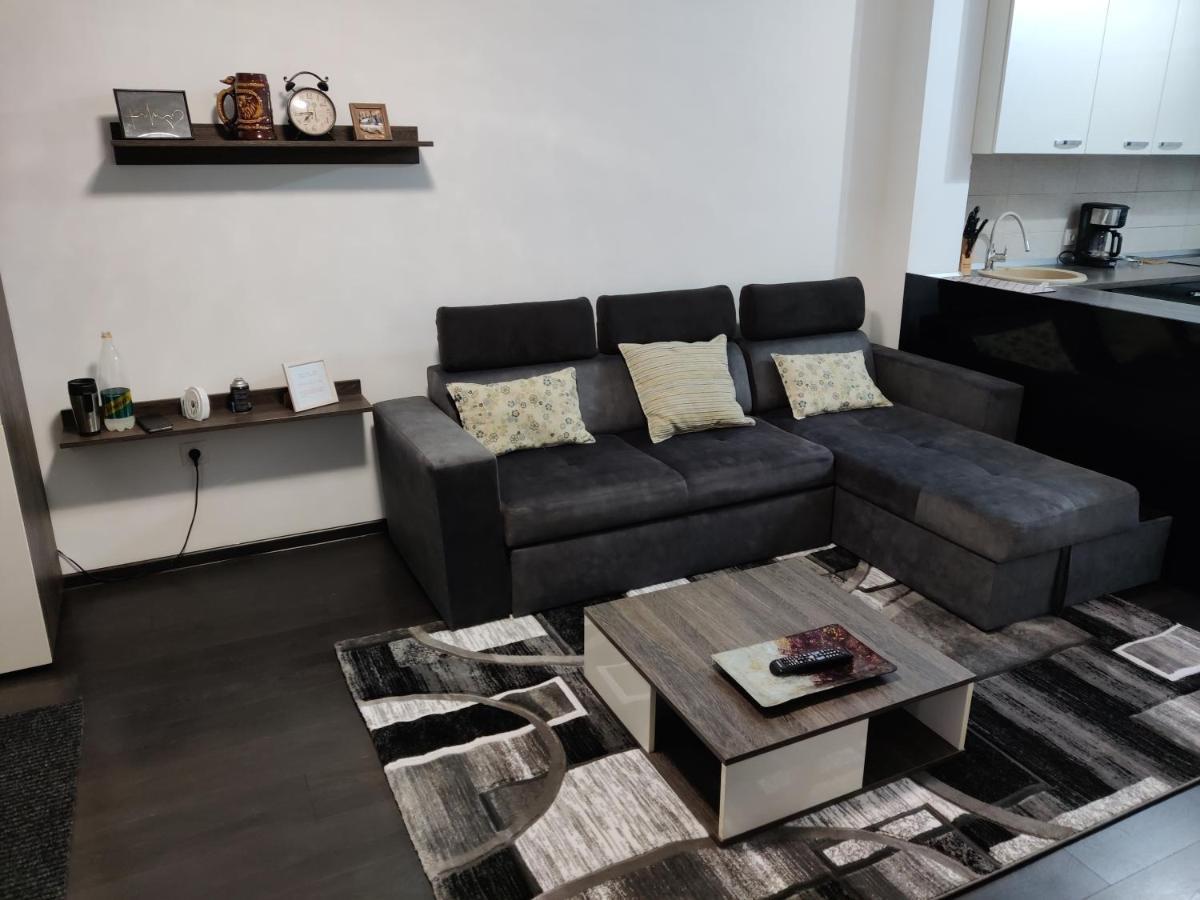 Avangarden Apartment Брашов Экстерьер фото